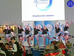 Karnevalssitzung 2020